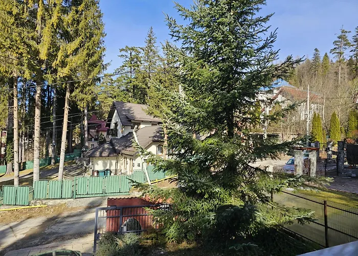 Vila Calin Sinaia